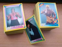 Komplettsatz WWF Wrestling 1993 Merlin Karten / WWE Sammlung Niedersachsen - Weyhe Vorschau