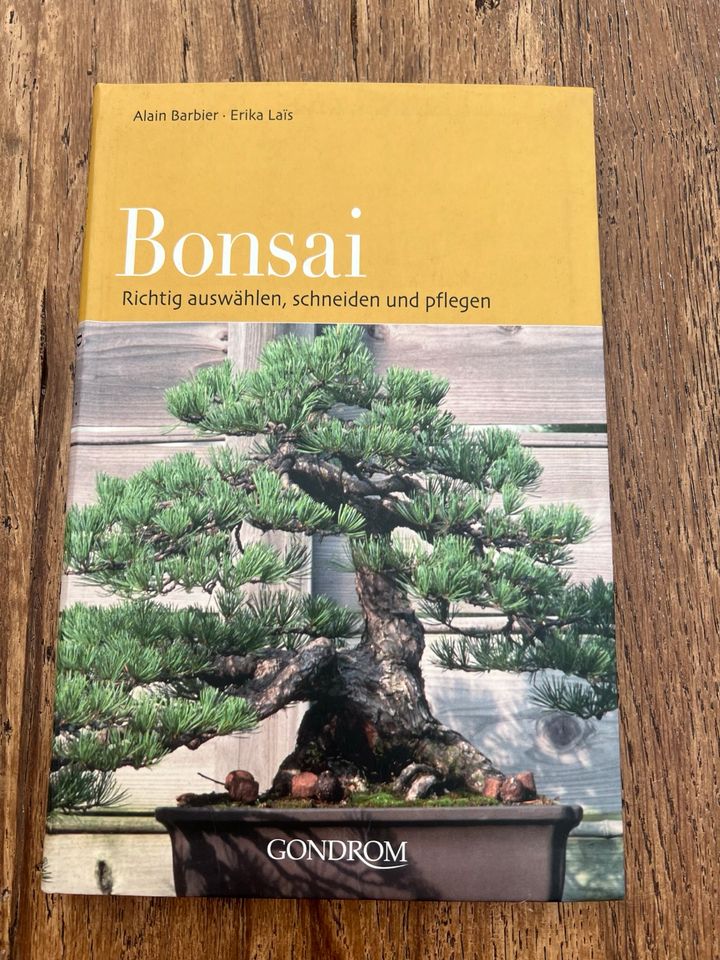 Bonsai Buch richtig auswählen, schneiden und pflegen in Straelen