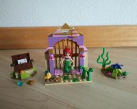 Lego Disney Princess 41050 Arielles geheime Schatzkammer wie neu Kr. München - Neuried Kr München Vorschau