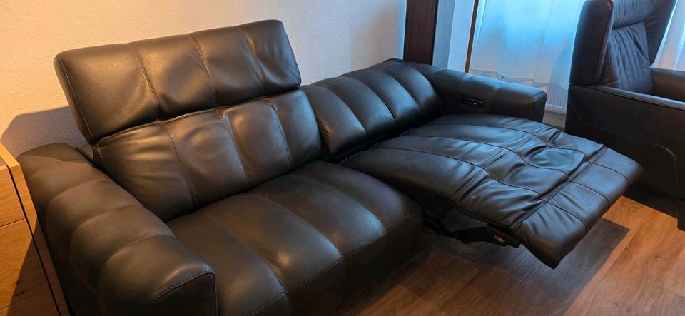 Natuzzi Edition Ledercouch 2 Jahre braun  230cm breit Braun Leder in Köln