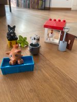 Lego Duplo 10870 Tiere auf dem Bauernhof Bayern - Gaimersheim Vorschau