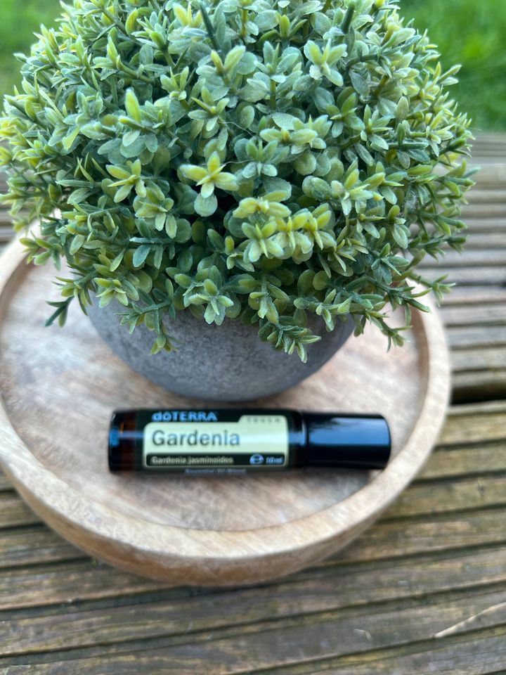 DoTERRA Gardenia 10 ml Roll on neu* OVP in Wachtendonk