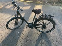 E-Bike Herrenfahrrad Pegasus Nordrhein-Westfalen - Olpe Vorschau