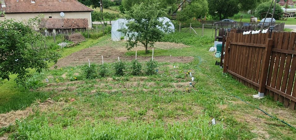 (Ungarn) In Teresztenye renoviertes Bauernhaus zu verkaufen in Berlin