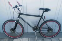 Oldtimer Sachs Hercules Sachs-Bike MTB Mountainbike aus den 80er Sachsen - Haselbachtal Vorschau