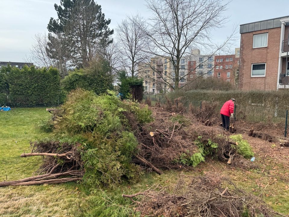 Gartenarbeit aller Art, Heckenschneiden, Gartenpflege, Gärtner in Aachen