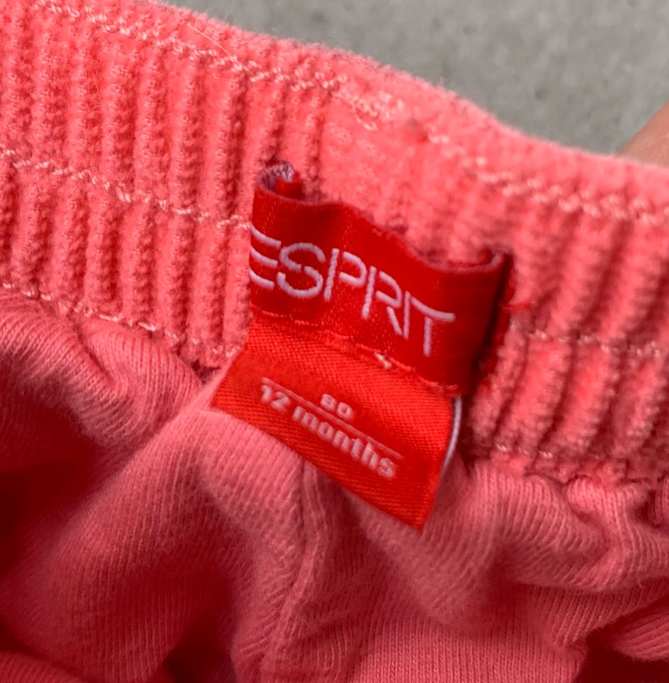 ESPRIT BABY JEANS CORDHOSE GR 80 12 Monate pink Mädchen in Frechen