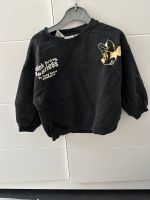 Zara Pullover Gr.98 Nordrhein-Westfalen - Bottrop Vorschau