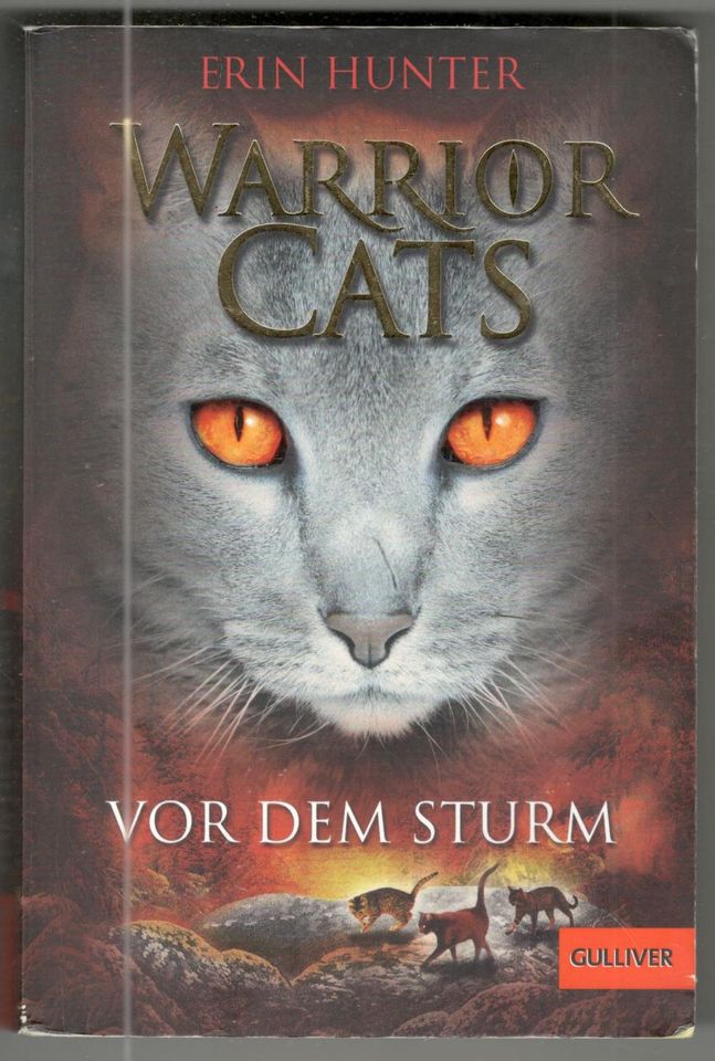 Warrior Cats Vor dem Sturm Staffel I, Band 4 Erin Hunter in Erfurt