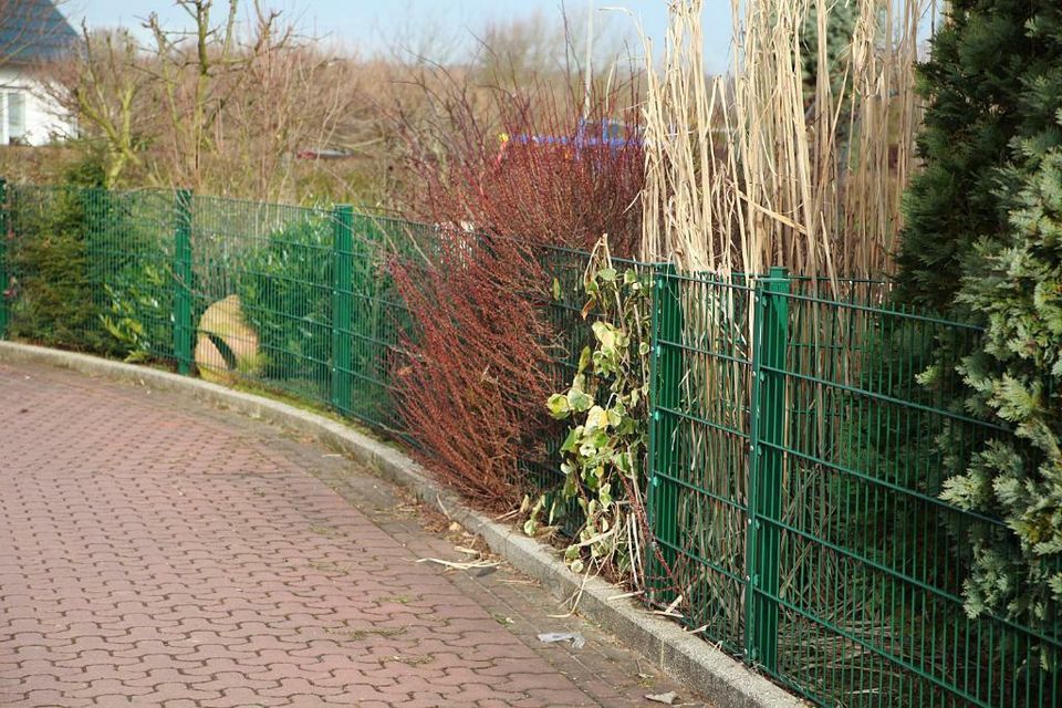 Doppelstabmattenzaun Zaun Gartenzaun 1,63m Gittermattenzaun in Castrop-Rauxel