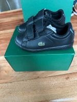 Lacoste Schuhe Jungen 25 Nordrhein-Westfalen - Hagen Vorschau