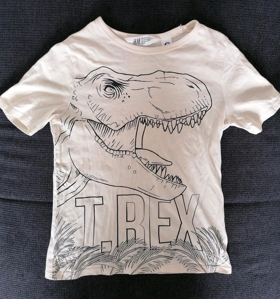 T-Shirt mit T-Rex in Bernau