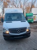 Mercedes-Benz 313 Bayern - Fürstenfeldbruck Vorschau