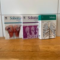 Sobotta - Lernkarten - Muskeln / Histologie / Knocen,Bänder,Gele. Leipzig - Leipzig, Zentrum-Ost Vorschau
