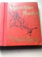 Humoristischer Hausschatz - Willh. Busch 1902, top erhalten Nordrhein-Westfalen - Siegen Vorschau