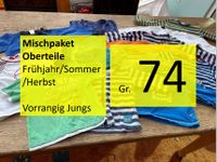 Gr. 74 JUNGS-KLEIDERPAKET 13x Oberteile Shirts kurz/lang Pulli Baden-Württemberg - Haßmersheim Vorschau