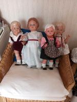 Schildkröt Puppen Niedersachsen - Neustadt am Rübenberge Vorschau