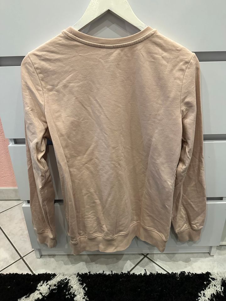 Sweatshirt Beige Gr.M Neu/Ungetragen!! in Tuningen