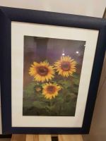 Bild, Kunstdruck, mit Rahmen u. Glaseinsatz, Blumen ,Sonnenblumen Niedersachsen - Bendestorf Vorschau