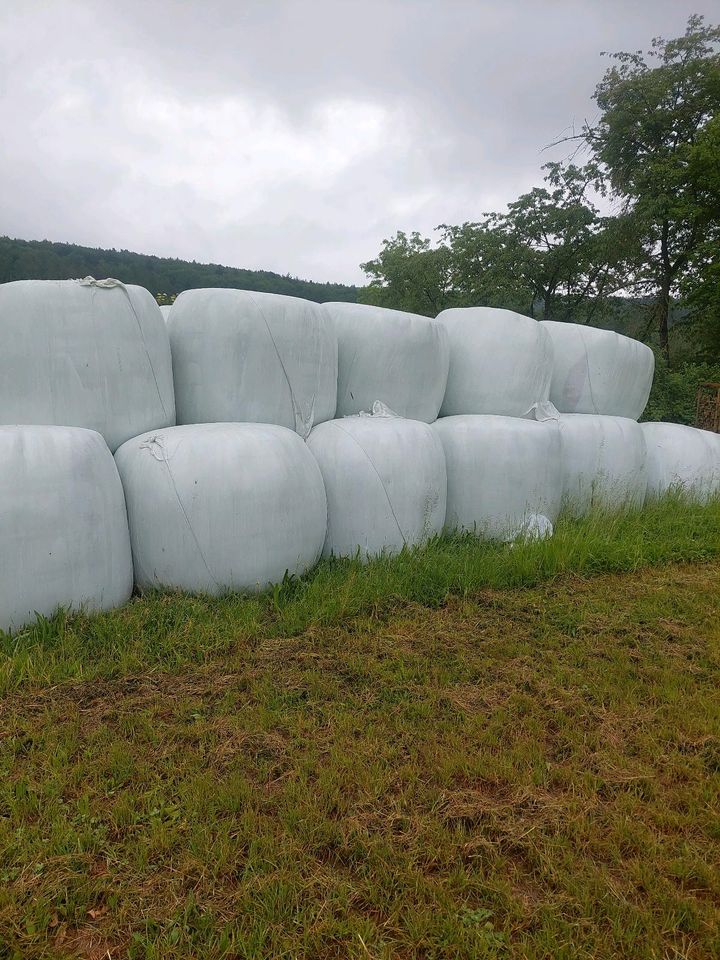 Grassilage  erster Schnitt neue Ernte in Schaafheim