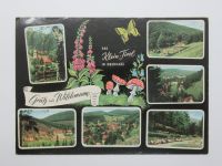 Postkarte AK Wildemann Harz Goslar Clausthal Osterode Oberharz Niedersachsen - Goslar Vorschau