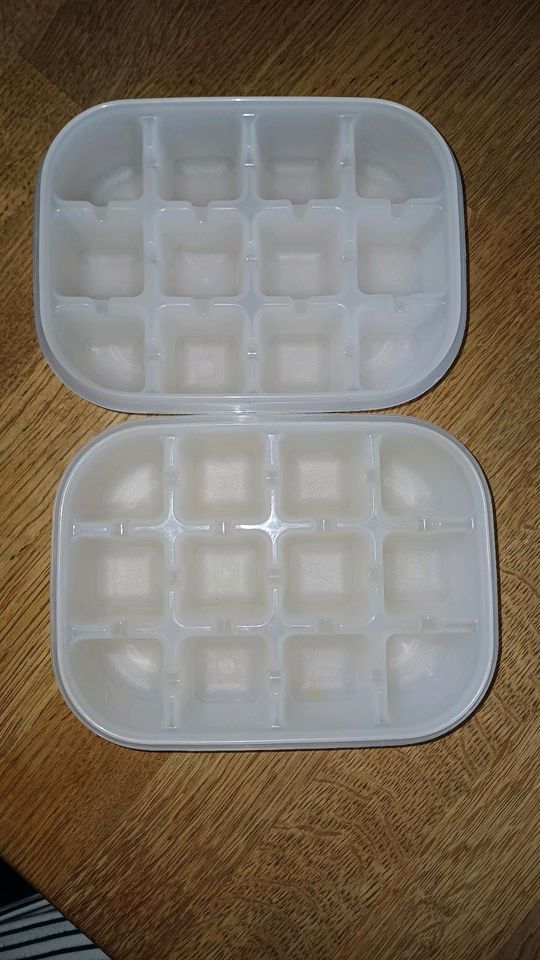 Tupperware Eiswürfel in Memmelsdorf