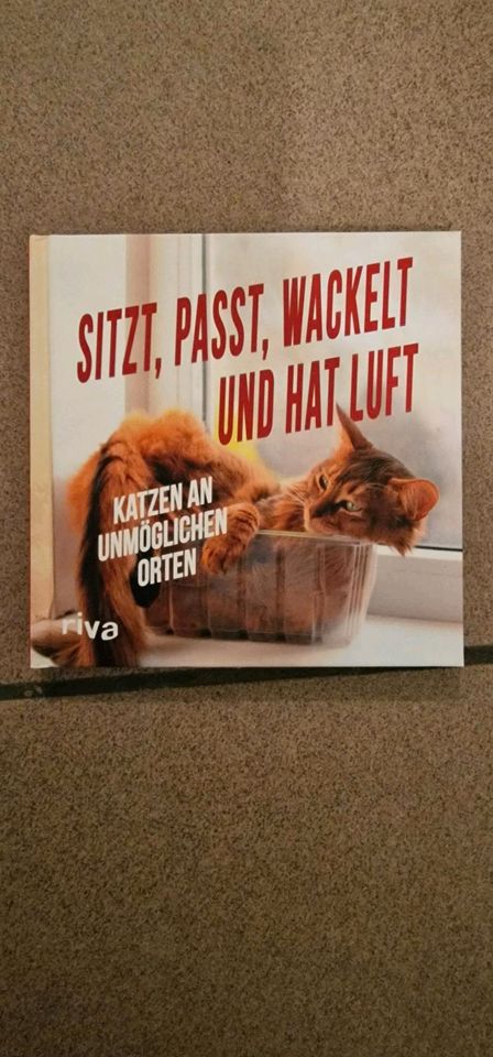 Katzenbuch Katzen-Bilder in Augsburg