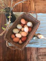 Eier von bunten Bauernhofhühnern 10er Päckchen Sachsen - Diera-Zehren Vorschau