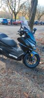 Honda Forza 125 Nordrhein-Westfalen - Selm Vorschau