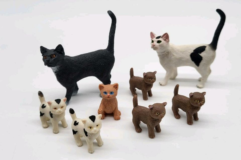 Schleich zuckersüße Katzen Kitten in Waltrop