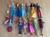 11 Barbie Puppen mit Zubehör Anna und Elsa Bayern - Bruckberg bei Landshut Vorschau