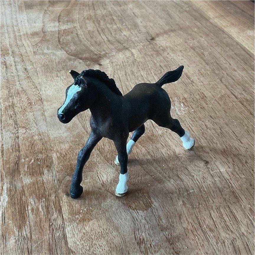 Schleich Fohlen in Ditzingen