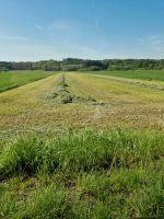 Suchen Bauernhof, Pferdehof, Anwesen, Landwirtschaft Bayern - Zolling Vorschau