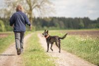 Suche einen Hund zum Gassi gehen spazieren laufen Elberfeld - Elberfeld-West Vorschau