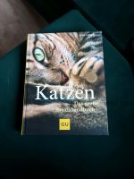 Katzen Das große Praxisbuch Hessen - Gießen Vorschau