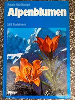 Buch: Alpenblumen (Paula Kohlhaupt) mit Farbbildern Frankfurt am Main - Innenstadt Vorschau