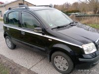 Fiat Panda Mecklenburg-Vorpommern - Neubrandenburg Vorschau