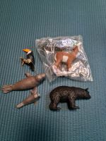 Schleich  Set  Robbe, Bär, tukan ,alpaka Niedersachsen - Oldenburg Vorschau