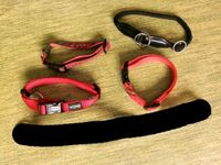 Halsband Halsbänder Zubehör Hund Hundehalsband rot schwarz • BtBj Baden-Württemberg - Neudenau  Vorschau