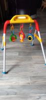 Baby Spielbogen / Trapez Nordrhein-Westfalen - Recklinghausen Vorschau