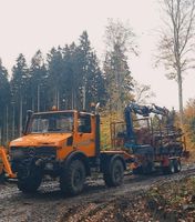 Stammholz Transport Brennholz Kaminholz Holz Buche Esche Polter Baden-Württemberg - Hohentengen Vorschau