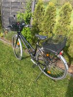 Fahrrad Damen Stevens Galant Trekking Bayern - Strullendorf Vorschau