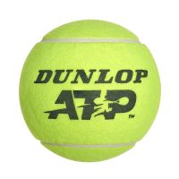 DUNLOP Fußball Tennisball-Optik NEU Hamburg-Nord - Hamburg Hohenfelde Vorschau