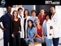 Greys Anatomy Staffel 1-3, 13 DVD´s, Wie alles begann... Thüringen - Hörselberg-Hainich Vorschau