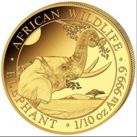 1/10 unze Somalia Elefant Wildlife 2023  999,9 Gold Baden-Württemberg - Ulm Vorschau