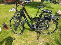 Fahrrad E-BIKE Sachsen - Döbeln Vorschau