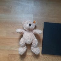 Steiff Teddybär Fynn neuwertig 28 cm Hessen - Volkmarsen Vorschau