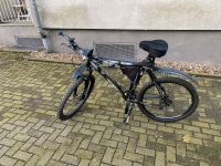 Tretwerk Altero MTB 55cm Rahmen Essen - Essen-Frintrop Vorschau