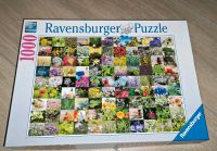 1000 Teile Puzzle Ravensburger Kräuter Gewürze Rheinland-Pfalz - Bremberg Vorschau