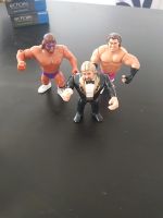 Wrestling  WWF Figuren Flensburg - Fruerlund Vorschau